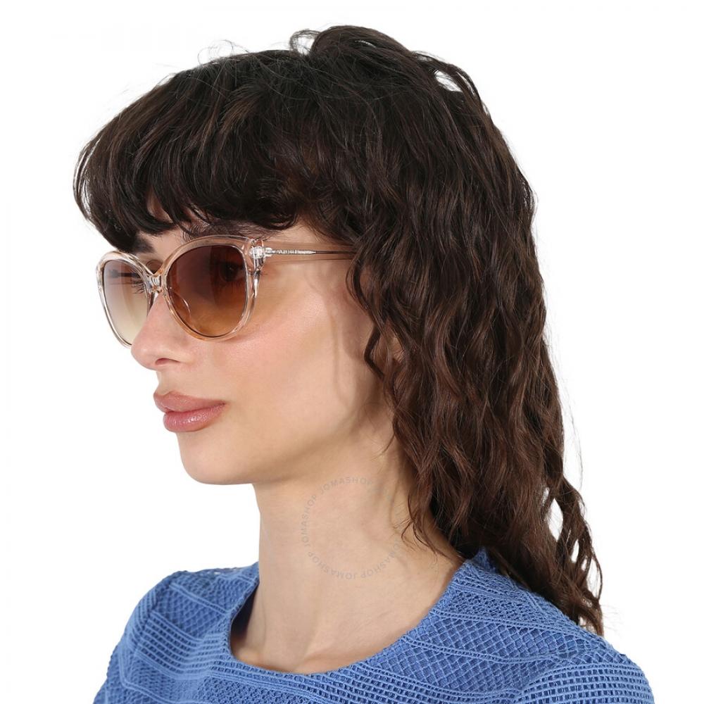 Brown Gradient Cat Eye Ladies Sunglasses Ck19536s 270 55