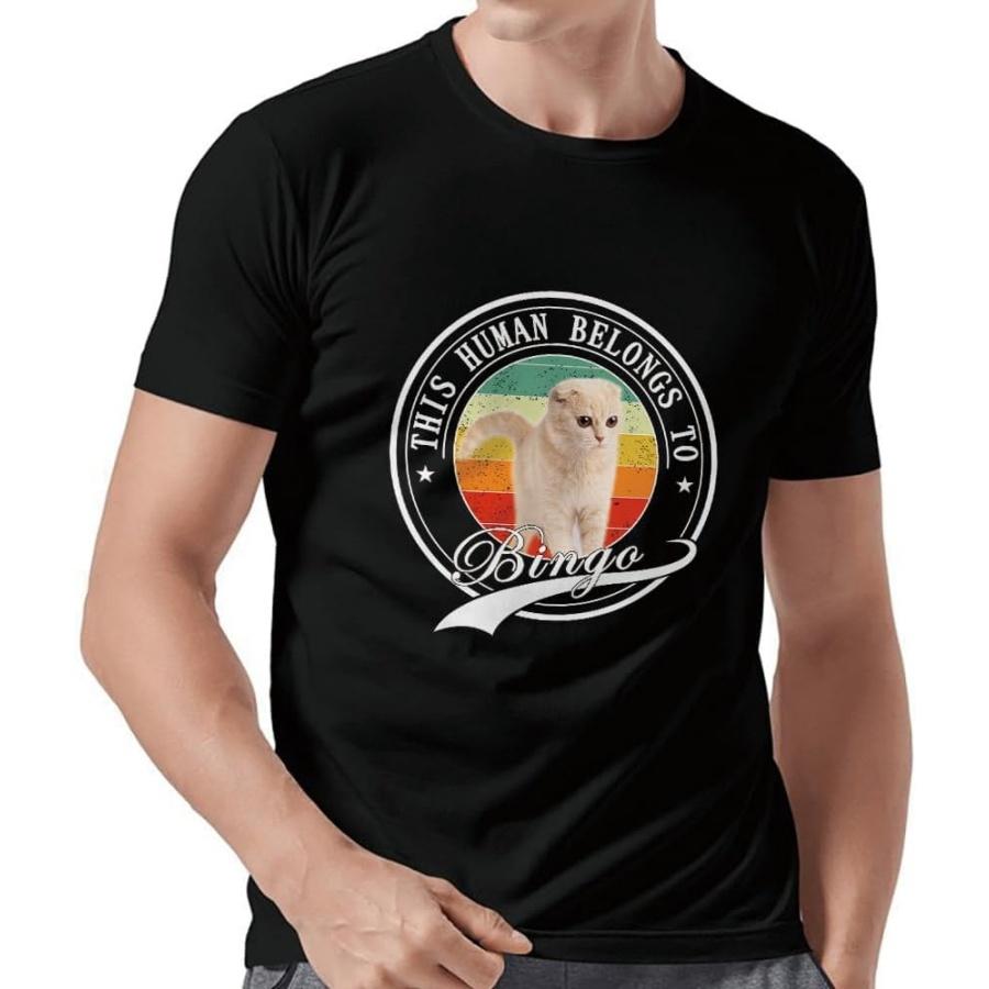 Scottish Fold Cat Rainbow T-Shirt Custom Shirts for Men Pet Lover This Human Belongs to Multi Colors XXXXXL разноцветный