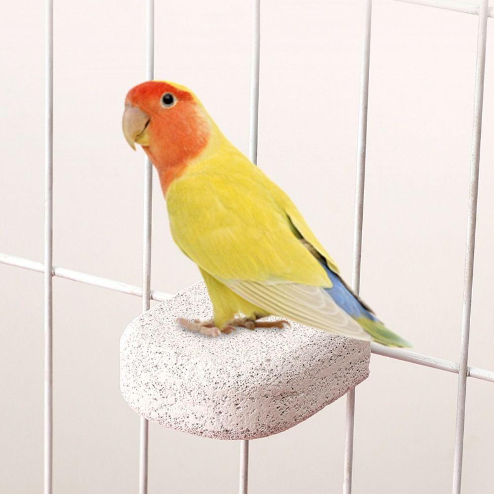 Pumice Bird Perch Stand Claw Grinding Bird Resting Platform Sturdy Parrot Stand Board  Lovebirds