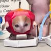 Rotating Cat 3D Folding Paper Cat Home Decoration Kitten Paper Model Cat Paper Model  For Children