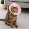 Anti Biting Pet Elizabethan Collar Anti-licking Cat Protective Collar  Neck Recovery