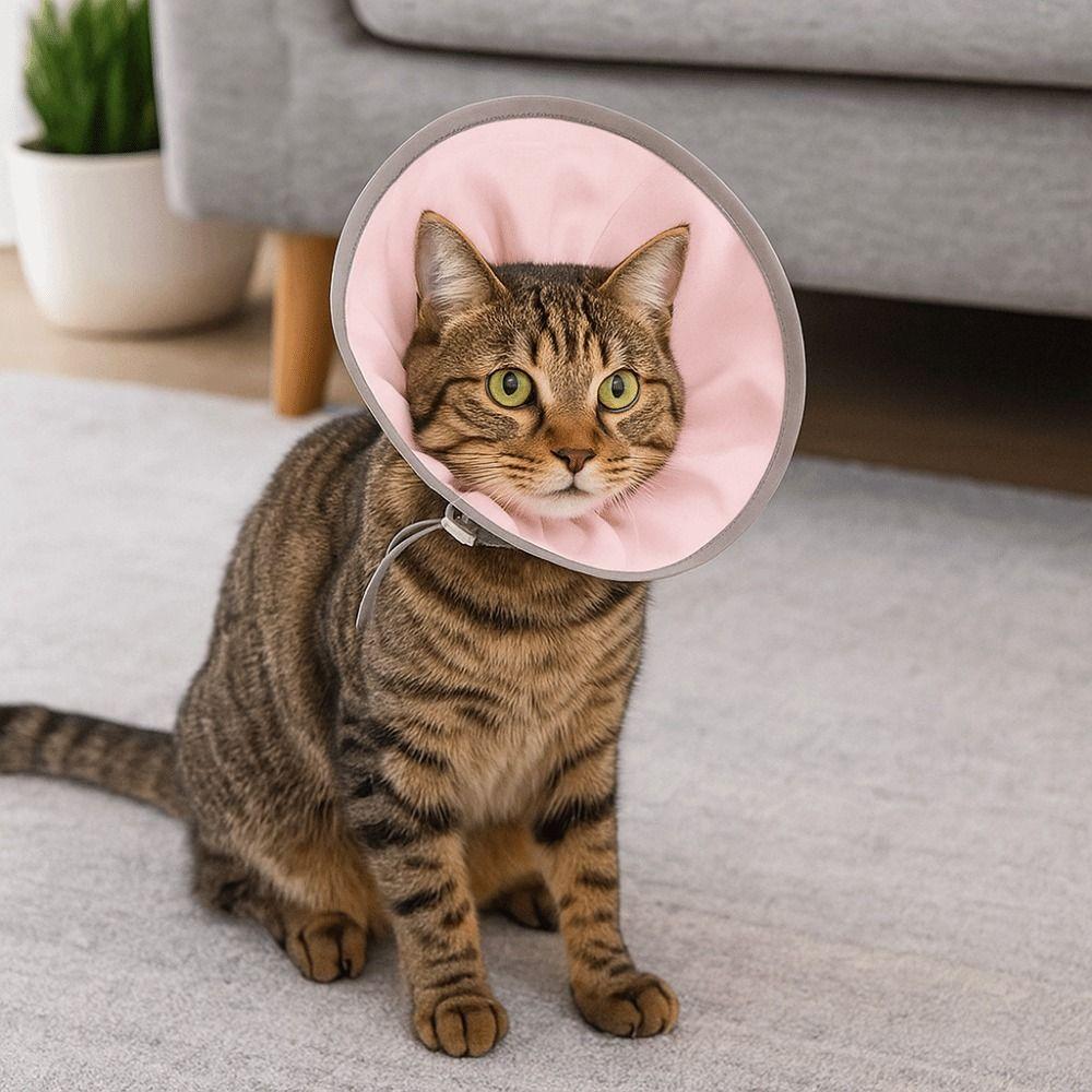 Anti Biting Pet Elizabethan Collar Anti-licking Cat Protective Collar  Neck Recovery