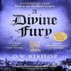 A Divine Fury by D. V. Bishop Paperback Book 9781529096552