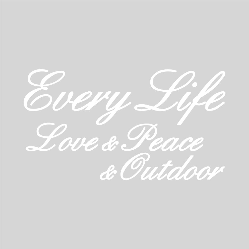 

Suzuki Every EVERY Light Van Light Car Camping Outdoor Cut Letter Sticker Large Size 27x15cm [МАГАЗИН KAIMIRU] (k_079_Белый_каждый)