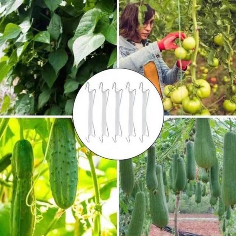 Clips For Climbing Plants Tomato Planting Support Kits Multifunctional Garden Supplies Fastening Clamp For Tomato Vines