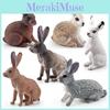 Simulated White Gray Brown Wild Rabbit Model Desktop Ornament For Kids Education
