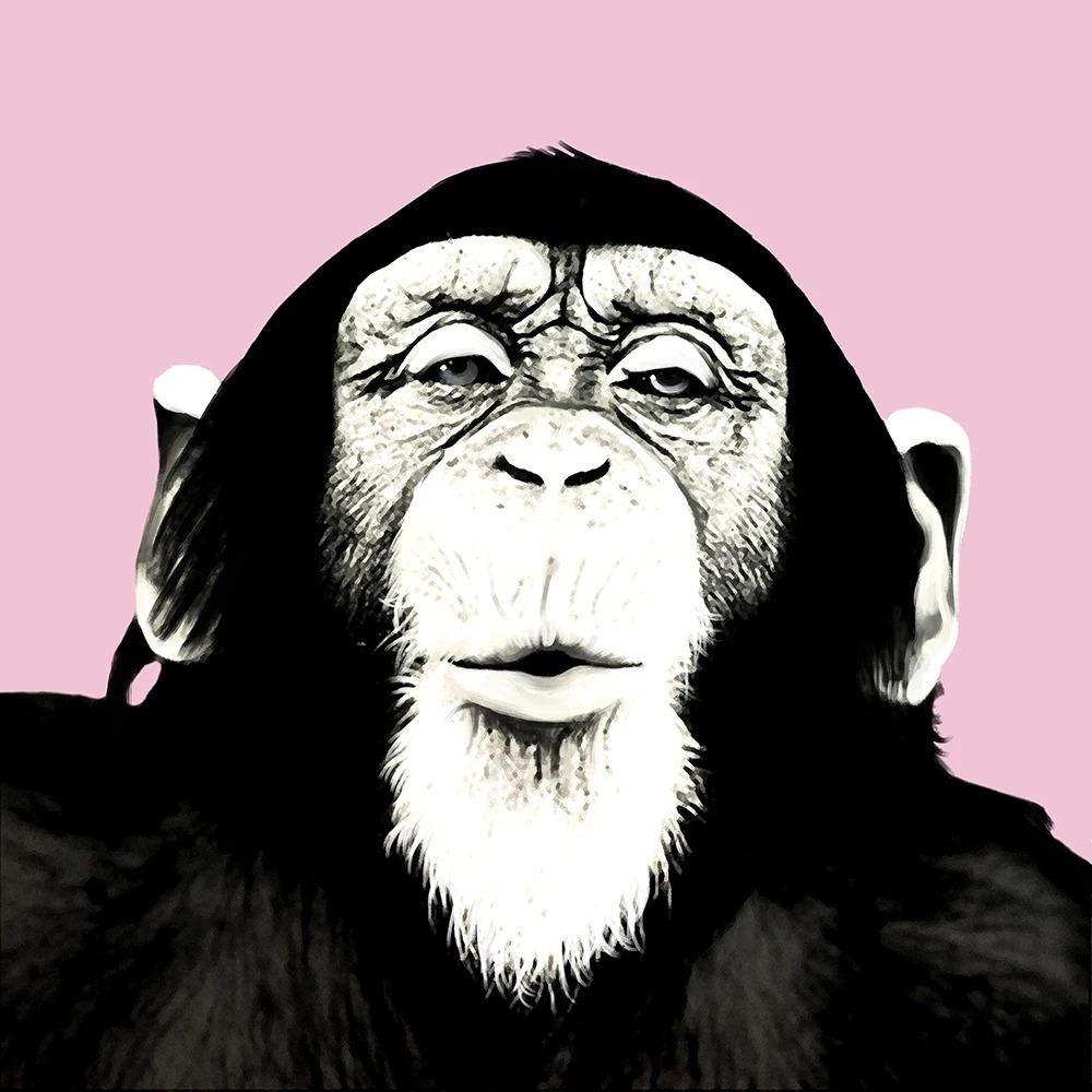 Colorful Gorilla Monkey Chimpanzee Earphones Art Canvas Wall Art Fun Animal Canvas Painting Living Room Home Decoration
