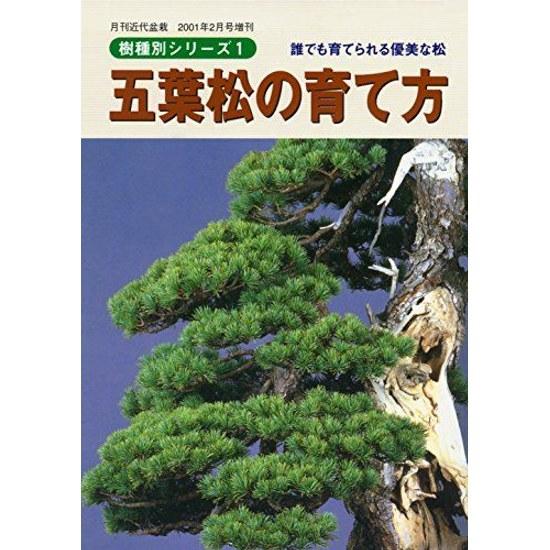 How Grow Five-Needle Pine Elegant That Anyone Can Cultivate Bonsai Tree Species Series (Monthly Modern Special Issue)