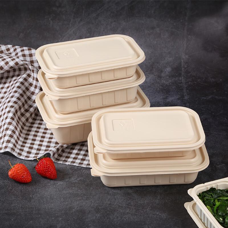 Biodegradable Rectangular Food Containers