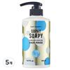 Duft & Doft Enriched Perfume Hair Rinse Sophie Sophie 500ml 5 Pcs