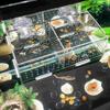 Hatching Boxes Aquarium Incubator Fish Tank Accessories for Anti-collision Holder