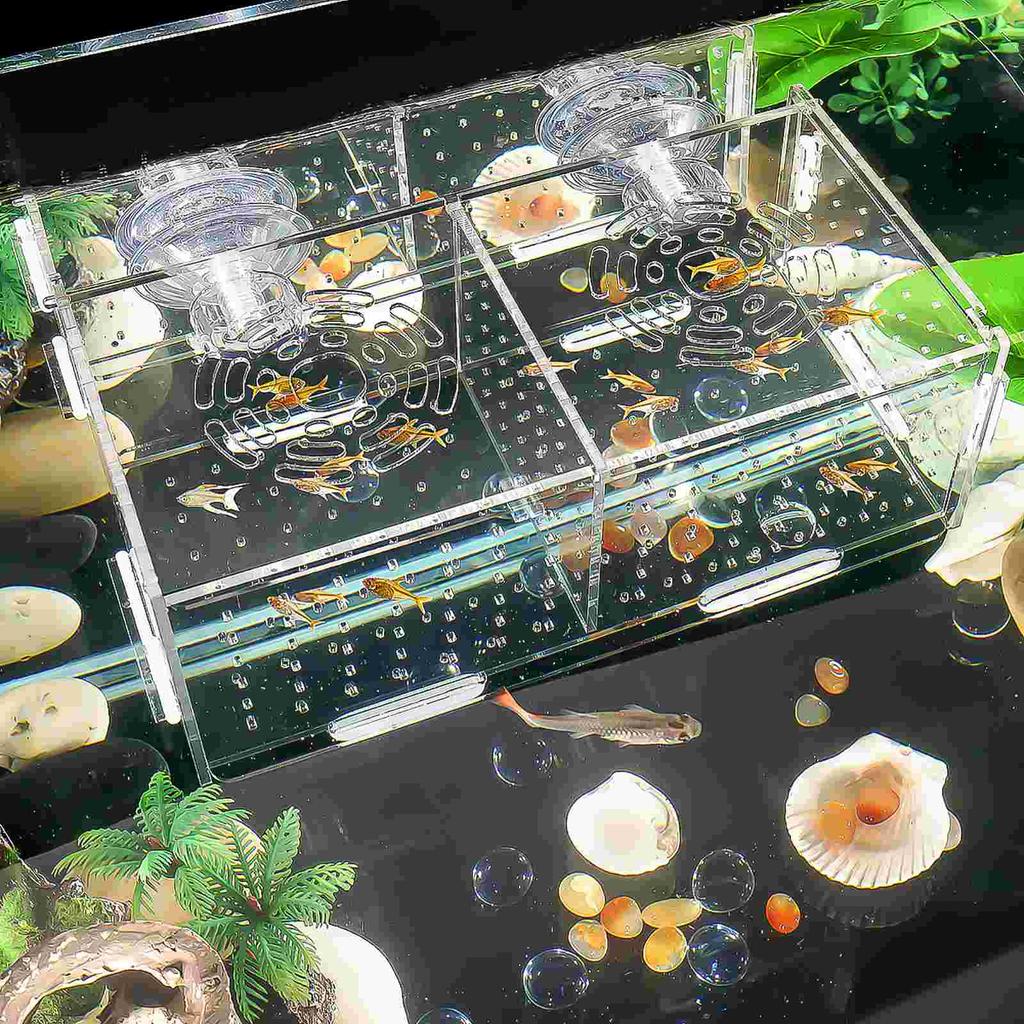 Hatching Boxes Aquarium Incubator Fish Tank Accessories for Anti-collision Holder