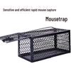 Sticky Mouse Trap Cage: Indoor Rodent Catcher & Killer