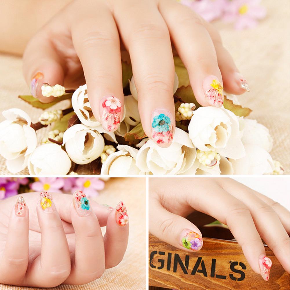 12 Types Colorful Natural Dried Flowers Set Real Dry Flowers Nail Decoration Manicure Arts