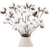 20 Cotton Branches, Artificial Cotton Flower Stems, Farmhouse-style Vase for Home Decoration.