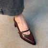 Vintage Frühling Dicke Ferse Damen Mary Jane Schuhe Flacher Schnallenriemen Schuhe Damen Elegant Spitze Zehen Tanzparty Pumps