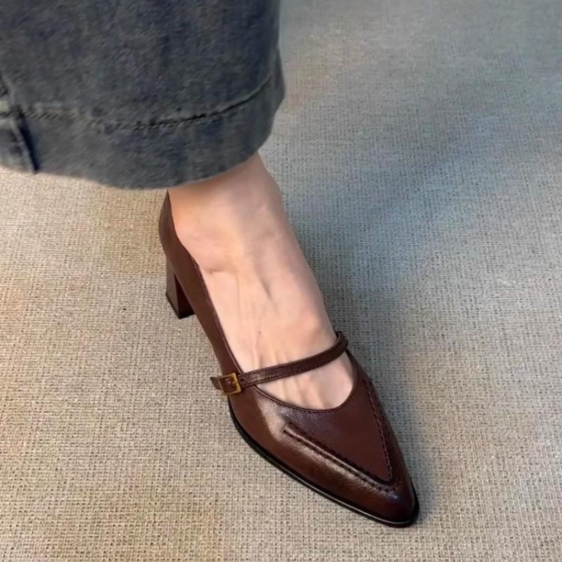 Vintage Frühling Dicke Ferse Damen Mary Jane Schuhe Flacher Schnallenriemen Schuhe Damen Elegant Spitze Zehen Tanzparty Pumps