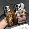 Cute Highland Cow Plating Phone Case For Xiaomi Redmi Note 14 15 Pro Plus 13 12 11 11S 11T 10 9S 9 5G Anti-Fall Airabag Cover