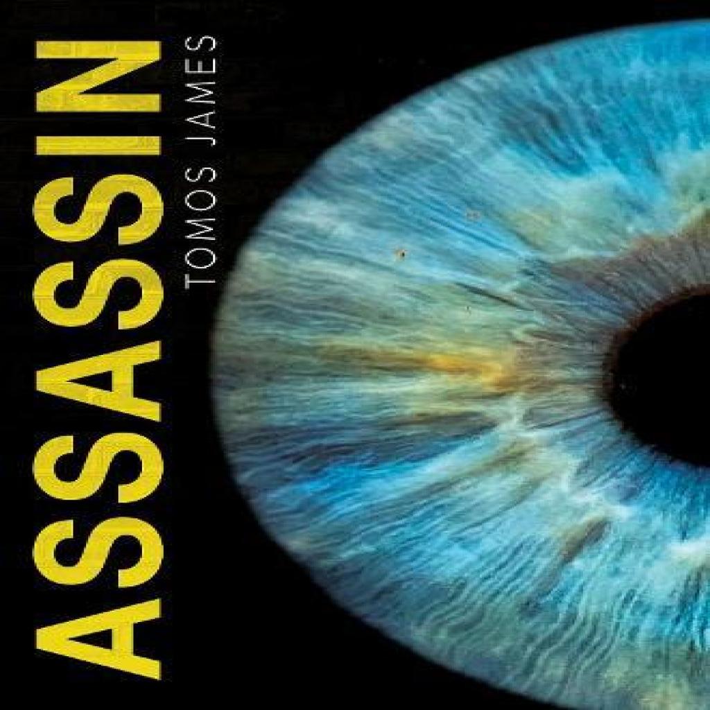 Assassin by Tomos James Paperback Book 9781804390924
