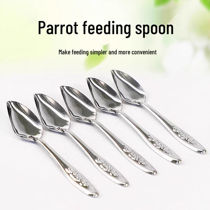 

Эксклюзив для новичков: Шприц и ложка для кормления попугаев молоком для птенцов