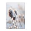 Inverno Neve Foresta Treno Cervo Scoiattolo Pigna Wall Art Canvas Painting Poster e stampe Immagini a parete per soggiorno Decor