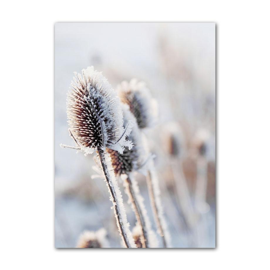 Inverno Neve Foresta Treno Cervo Scoiattolo Pigna Wall Art Canvas Painting Poster e stampe Immagini a parete per soggiorno Decor