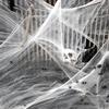 Halloween Decoration Spider Web,Artificial Spider Web,Stretchy Cobweb With Spider,Horror Gothic Haunted House Home Decor