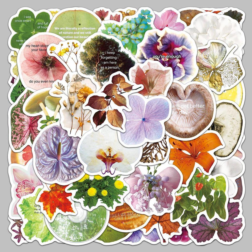 50 Sheets Fresh Plant Specimen Stickers: Art Style Cartoon Leaves, Waterproof & Decorative.