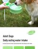 Foldable Portable Dog Water Dispenser for Outdoor Travel