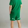 Goxo Casual Fit Shorts Green Slice Hook