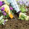 1pc/2pcs Hand Loop Weeder Weed Cutter/Remover Tool With Plastic Handle For Lawns Yards.