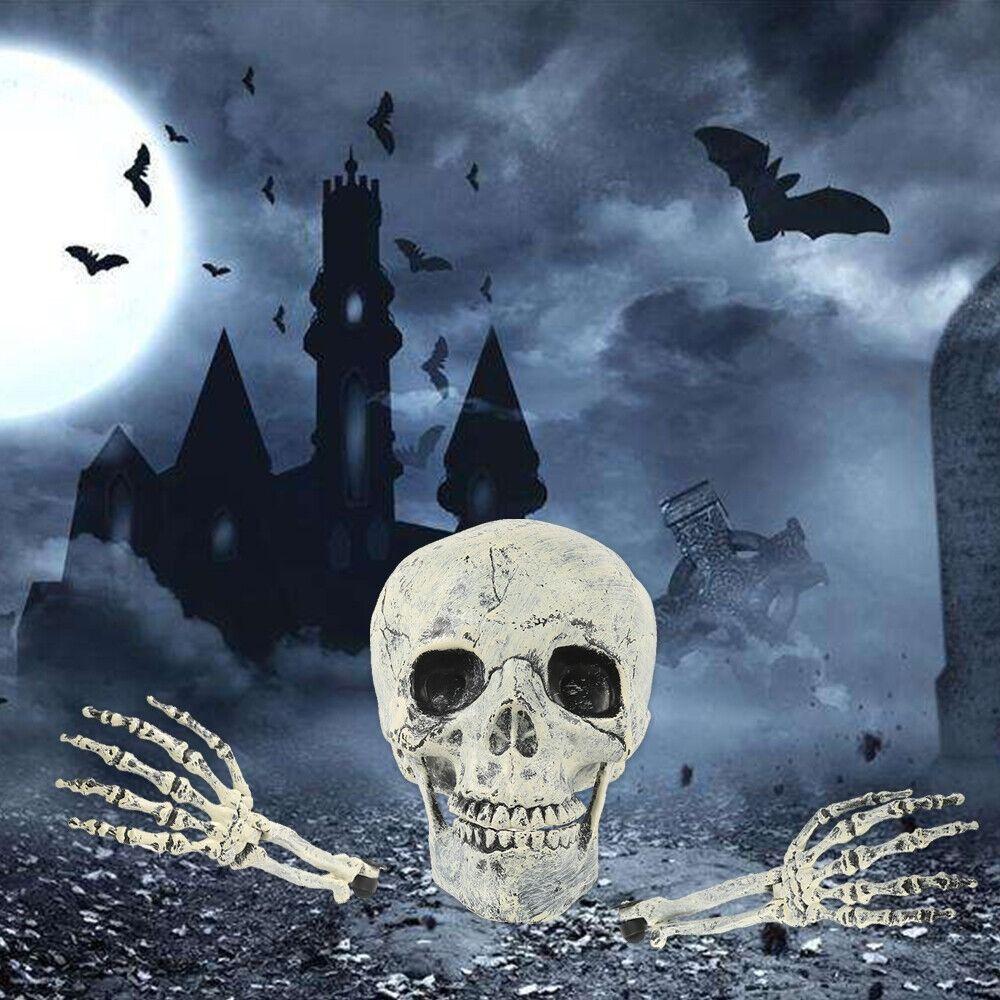 

Ourdoor Garden Decoration Grave Props Scary Halloween Skeleton Skull
