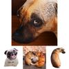 Kreatives 3D-Simulations-Hundekissen, Plüschtier Hund Stofftier für Kinder, Kurzer Plüschstoff, PP-Baumwollfüllung, Verschiedene Größen und Farben