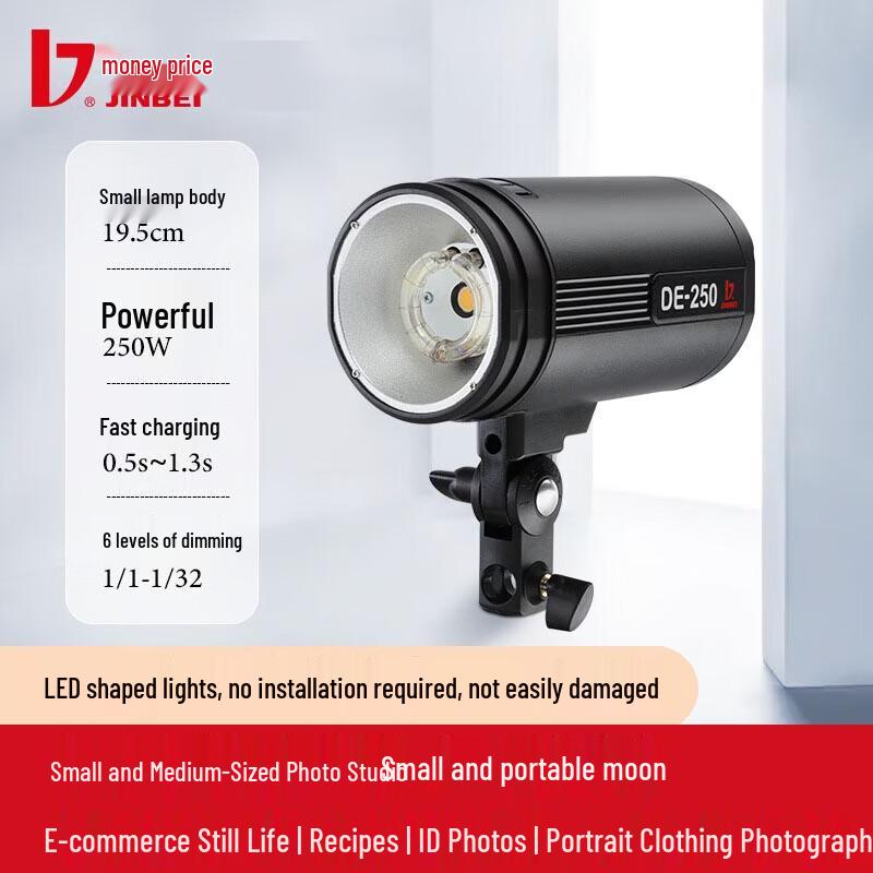 JINBEI DE250W Studio Flash Photography Kit