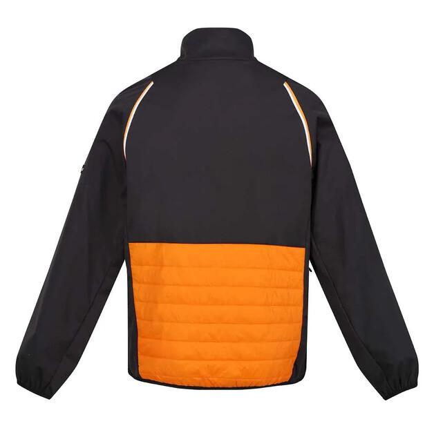 Regatta Steren Hybrid Softshell-Jacke