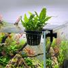 Top Hanging Fish Tank Greenery Holder Soilless Cultivation Aquarium Planter Cups  Landscaping