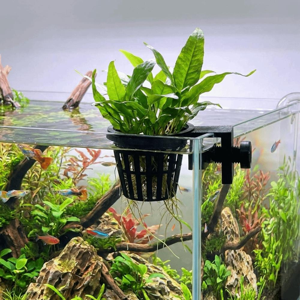 Top Hanging Fish Tank Greenery Holder Soilless Cultivation Aquarium Planter Cups Landscaping