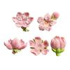 3D Cherry Blossom Refrigerator Magnet Resin Pink Flower Decorative Fridge Magnet Memo Notes Photo Holder for Home Kitchen Office