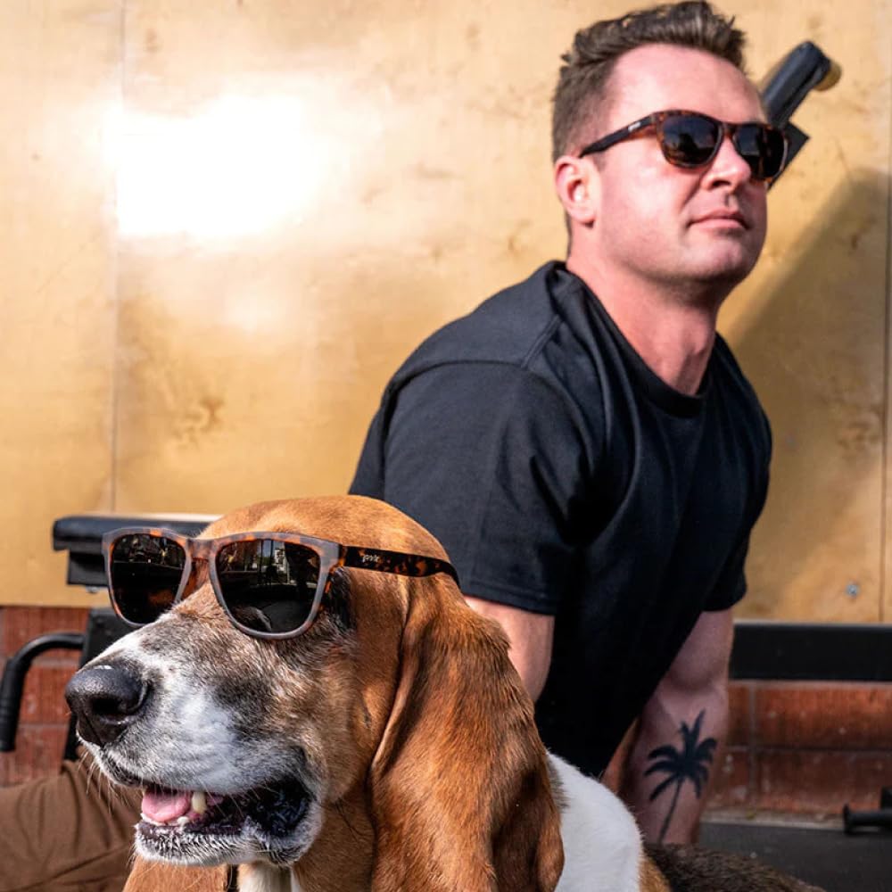 Goodr OG Series UV and Mirrored for Men and Perfect for Mountain and Outdoor Activities Basset Hound [goodr] Sunglasses, Lightweight, Polarized,