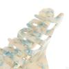 Clamps Large Hair Clip Butterfly Claws Clamp Accessories
