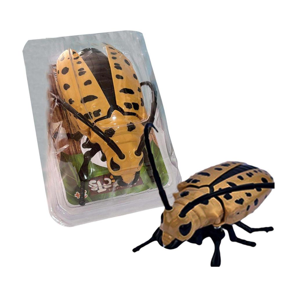 Realistic Beetle Insect Model Toy Crawling Bug Replica Educational Collectible for Kids and Adults Durable Plastic Construction