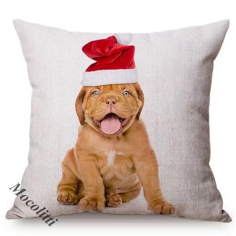 Christmas Sofa Decoration Cushion Cover Cute Pet Dog Animal Wear Red Christmas Hat Lovely Cat Print Throw Pillow Case Cojines