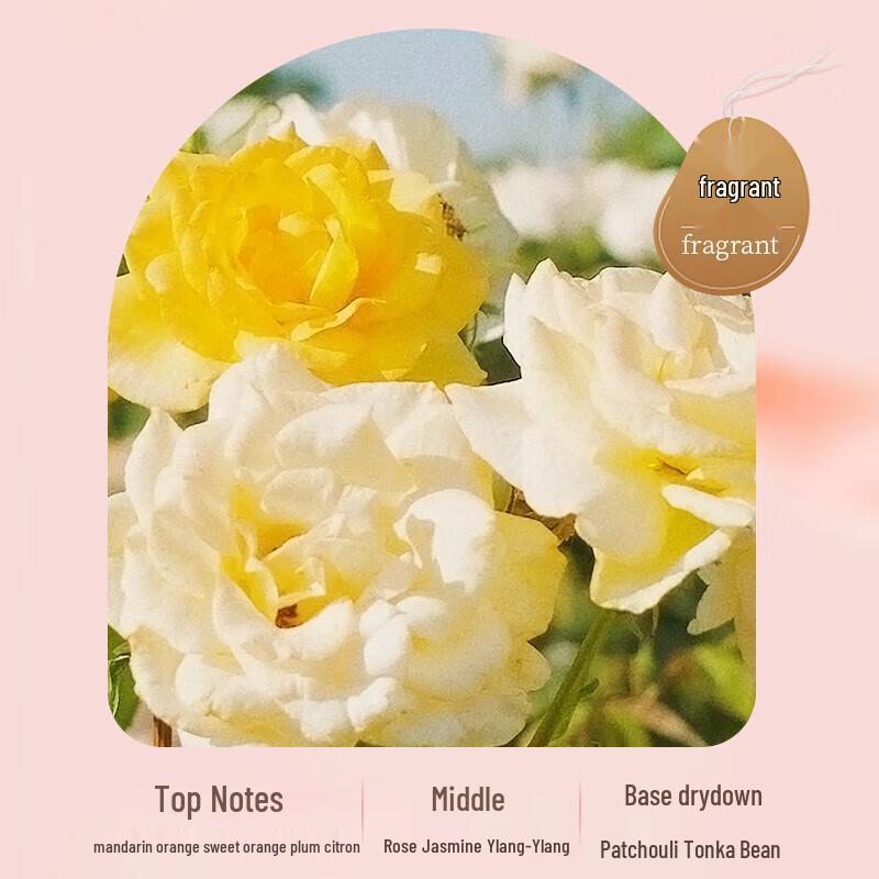 MissLilly Perm-Dye Repair Shampoo