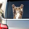 Funny Cat Animal Car Sticker Cartoon Waterproof Styling Automobiles Motorcycle Exterior Accessories Vinyl Decals Y211