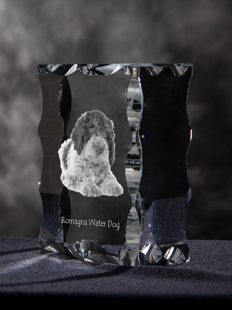 Romagna Water Dog – Crystal with a picture of a dog, glass statuette with a picture | Art-Dog