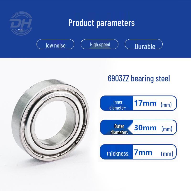 Precision Stainless Steel Ball Bearings: Deep Groove 6007, 6008, Miniature 6003