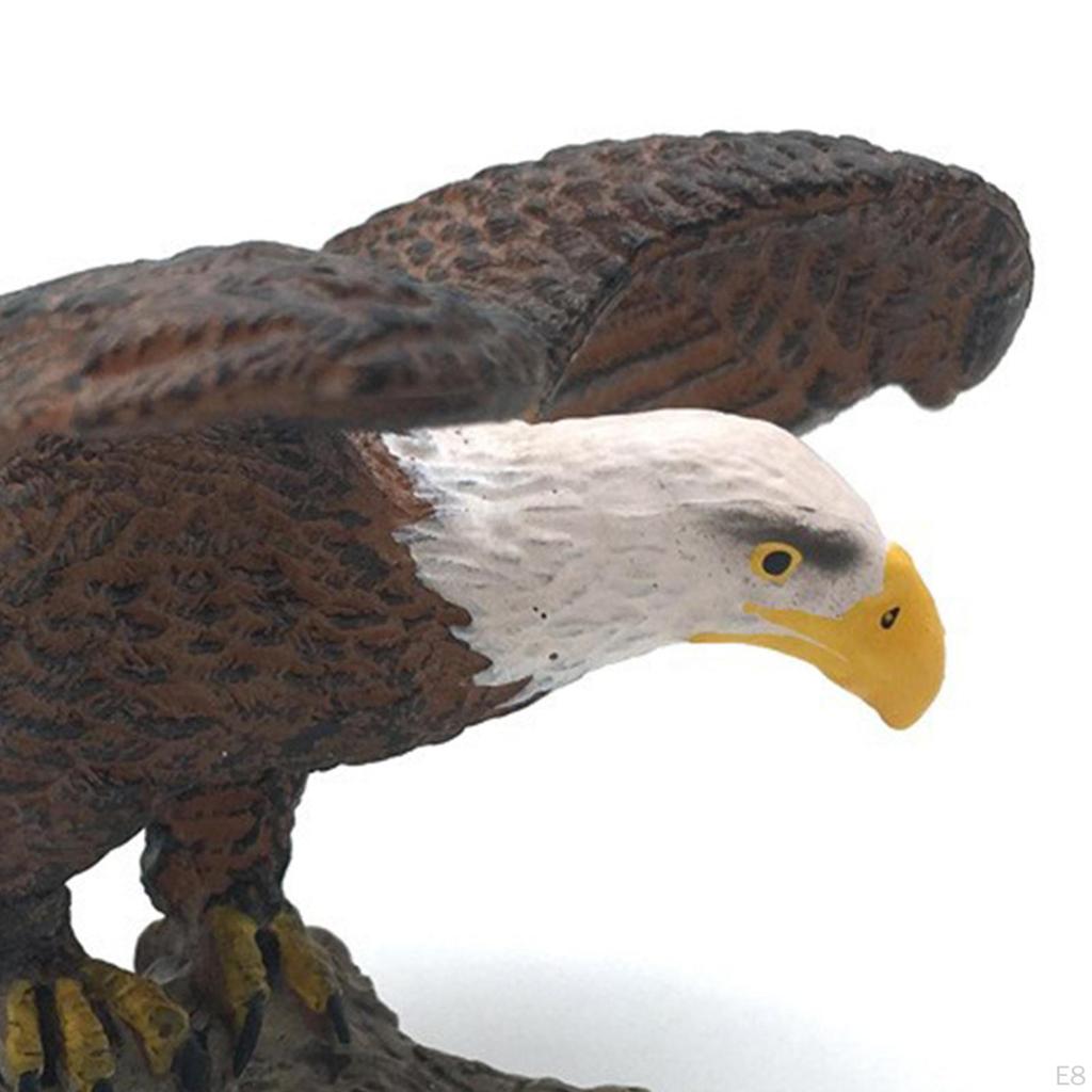 Bird Figurines Set for Children's Play And Decoration