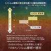FINE JAPAN s funkčním kakaem Sleeping Forest 5 sáčků GABA 100mg Glycin 100mg Domácí výroba x sada 3 kusů [Tvrzení o potravinách]