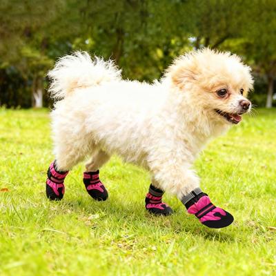 Ropa y calzado – Zapatos para perros
