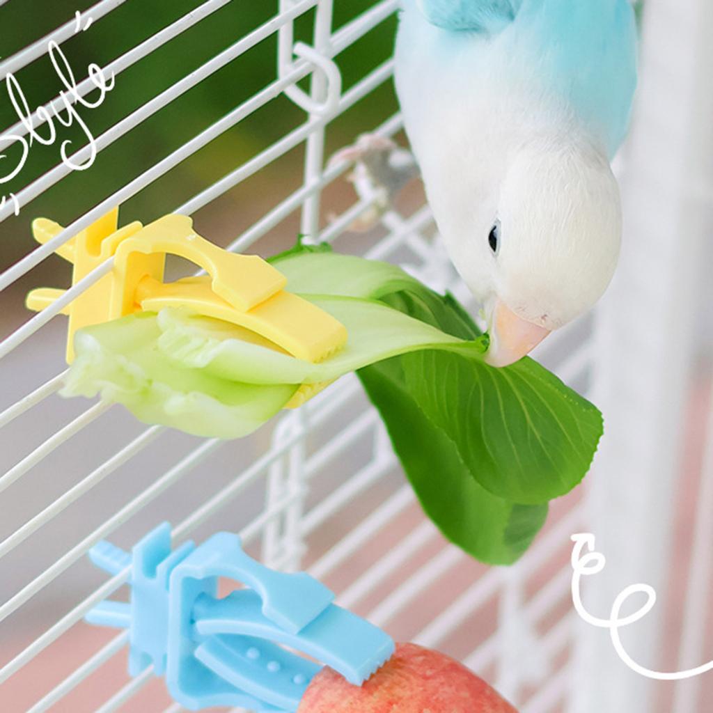 Parrot Food Clip Cage Accessory Vibranted Color Chew Proof Feeding Tool Fruit Vegetable Clips For Small Pets